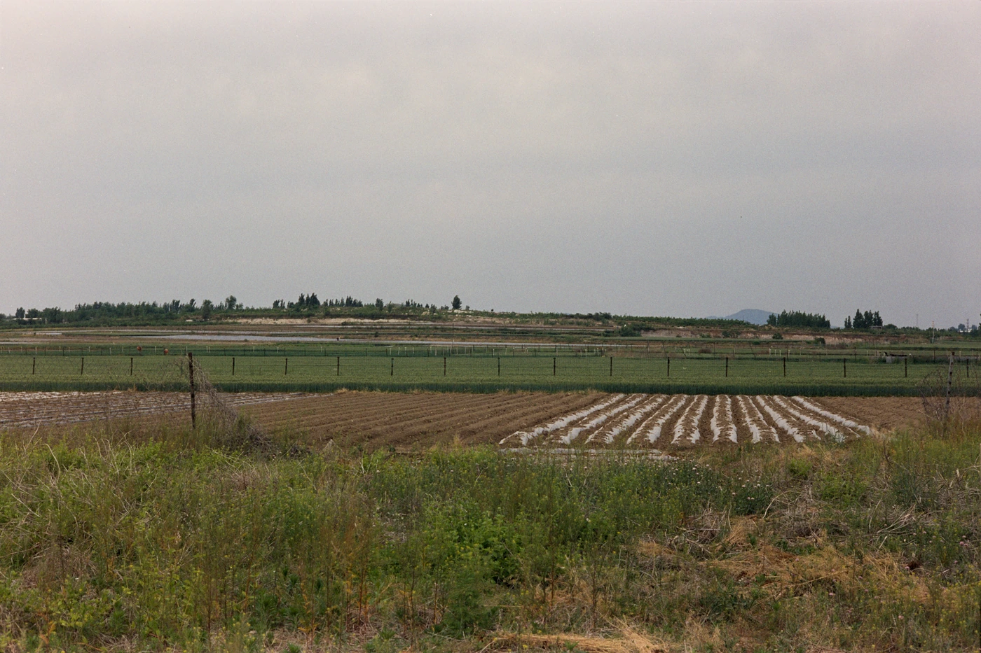 山东 II / Shandong II photograph 022