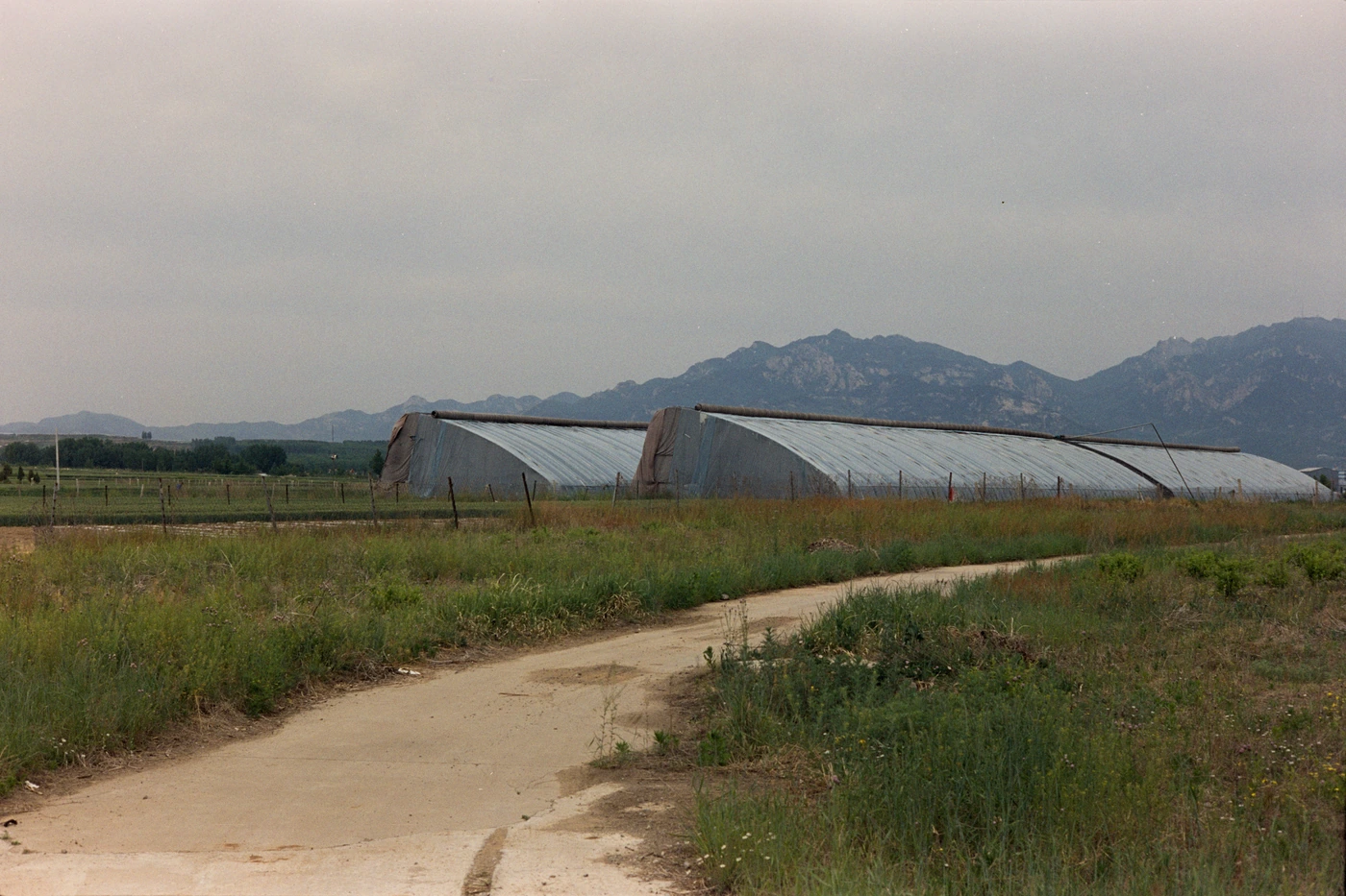 山东 II / Shandong II photograph 016