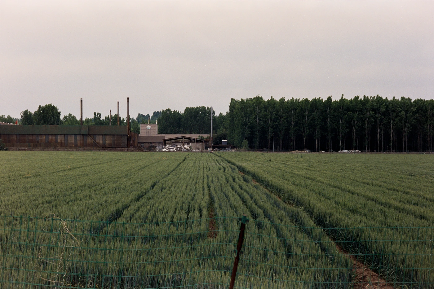 山东 II / Shandong II photograph 024