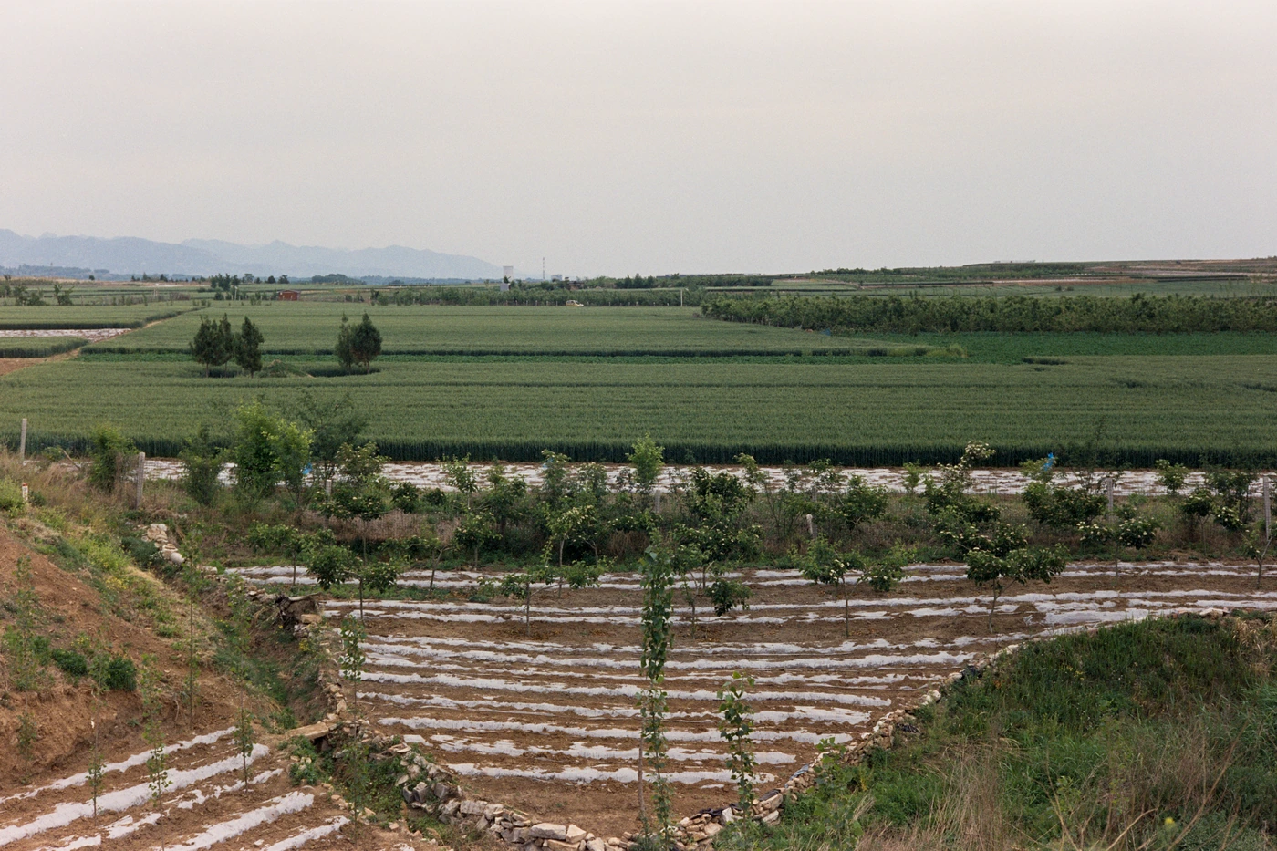 山东 II / Shandong II photograph 030