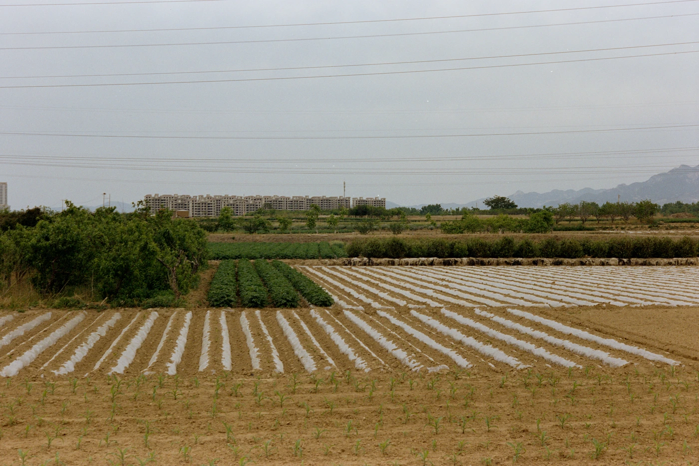 山东 II / Shandong II photograph 039
