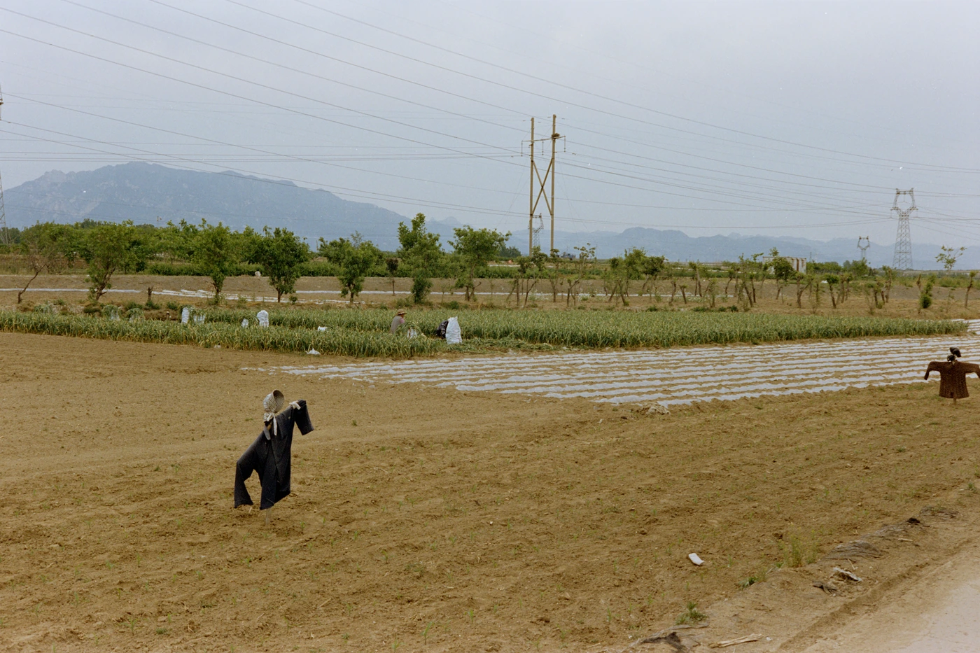 山东 II / Shandong II photograph 020