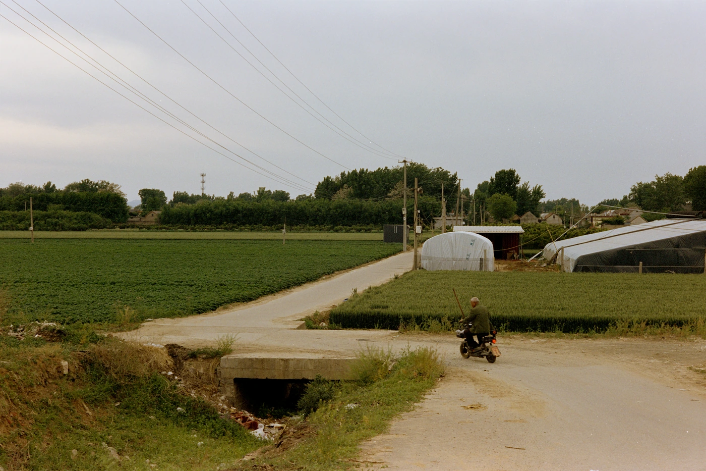 山东 II / Shandong II photograph 027