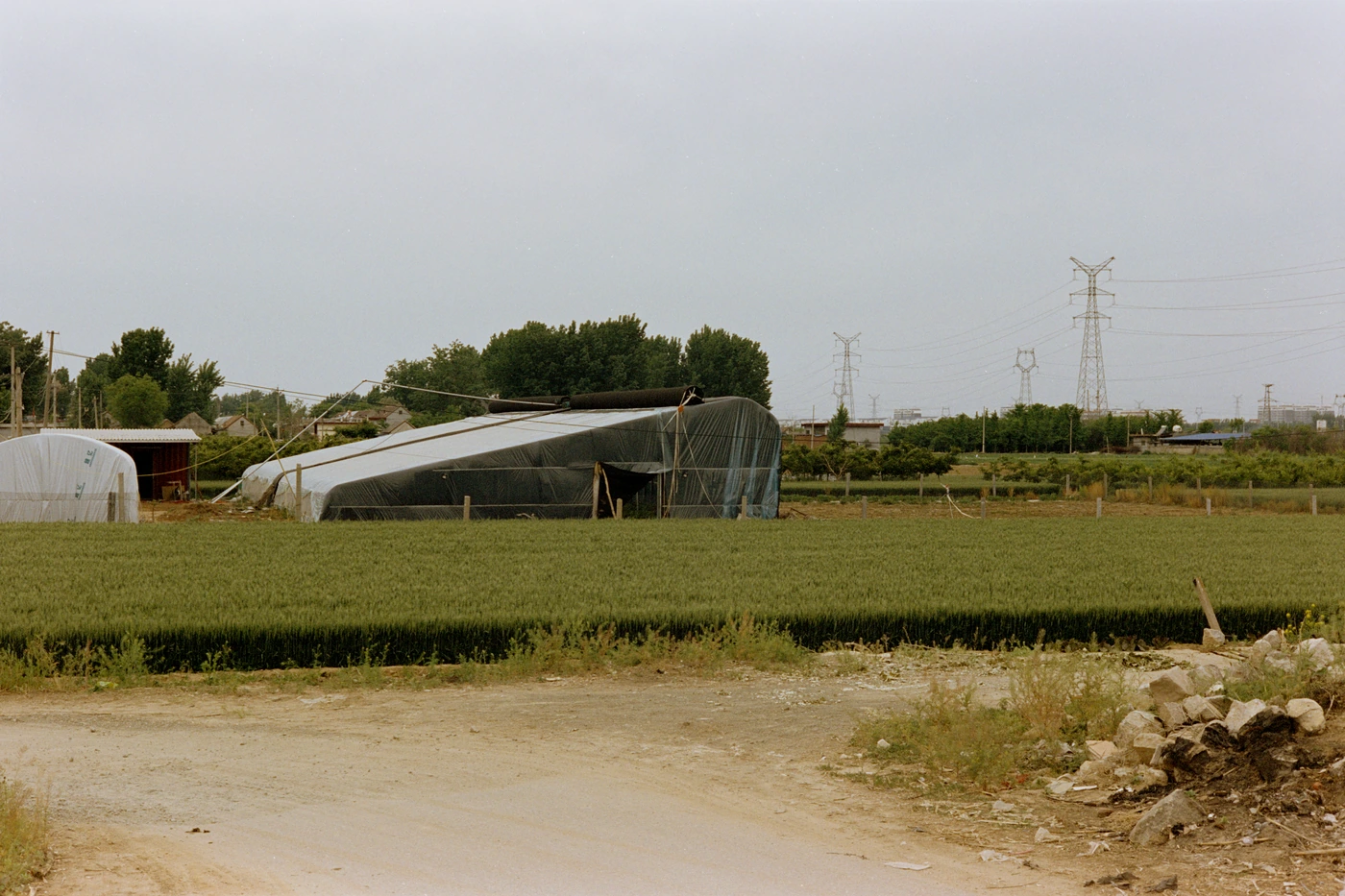 山东 II / Shandong II photograph 035