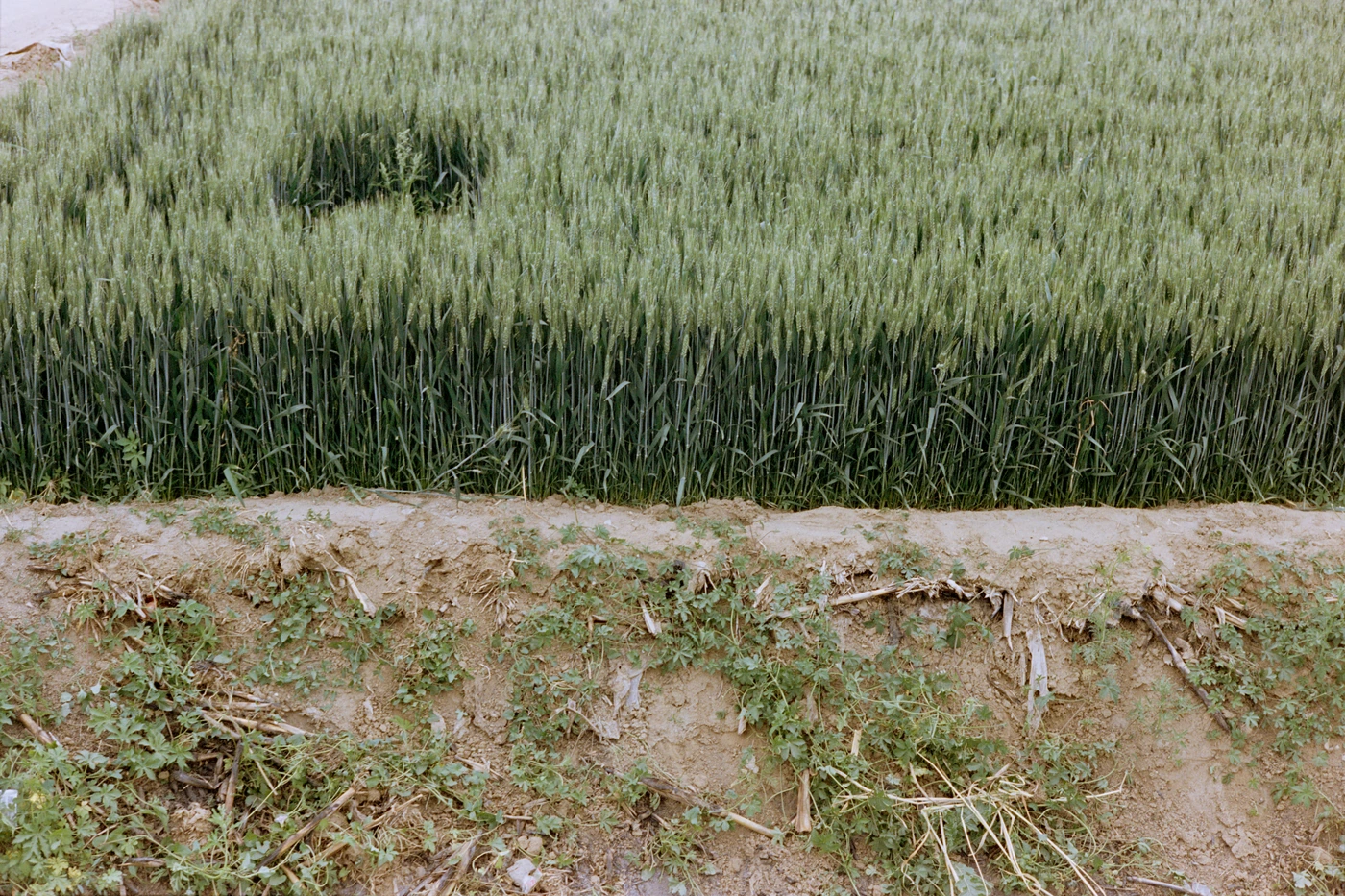山东 II / Shandong II photograph 018