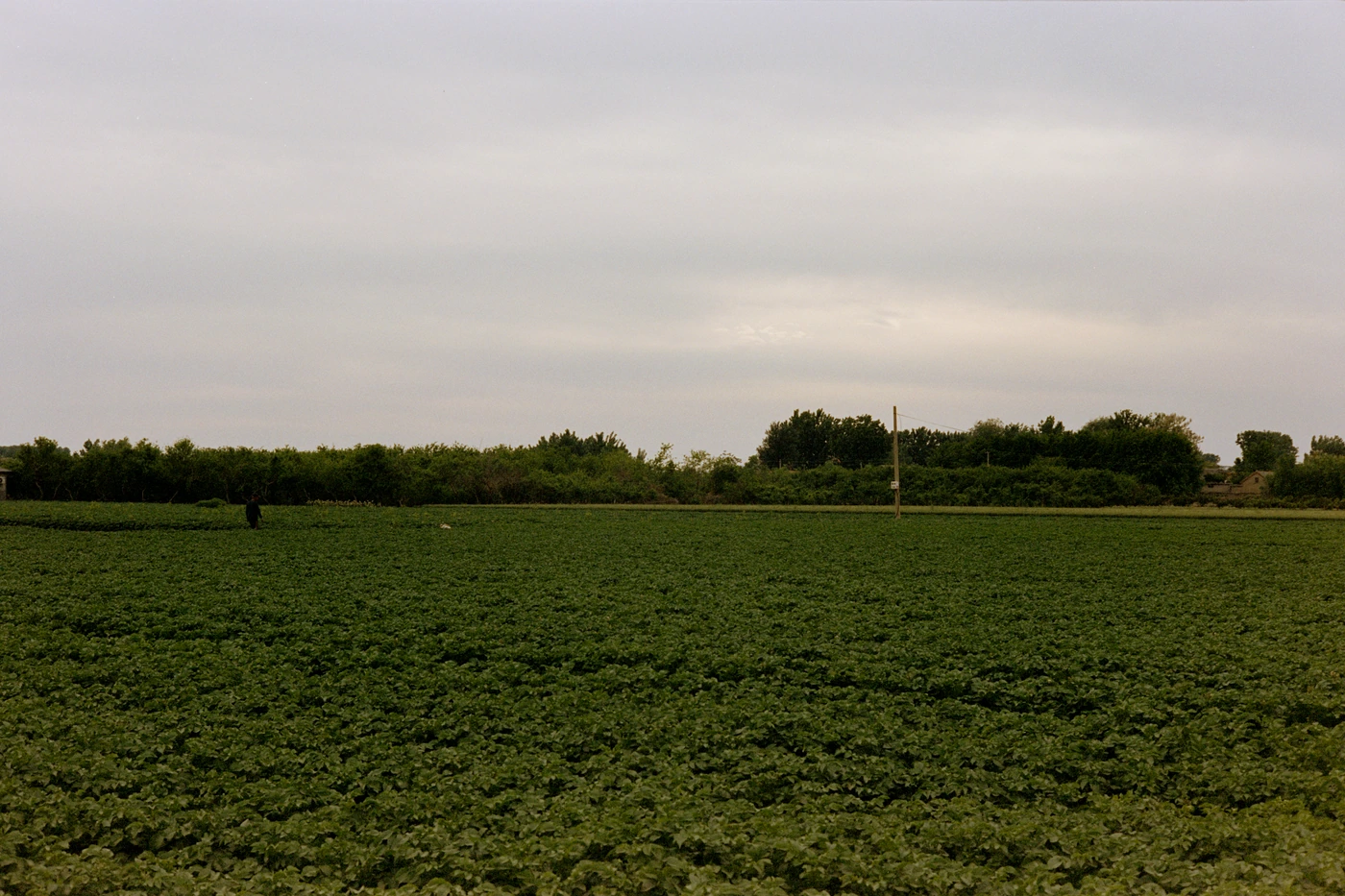 山东 II / Shandong II photograph 033