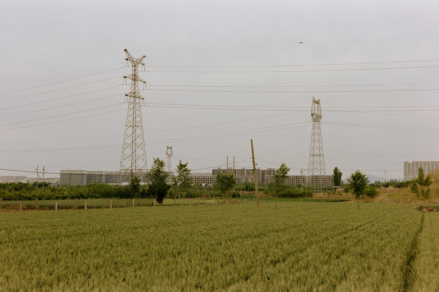 山东 II / Shandong II photograph 040