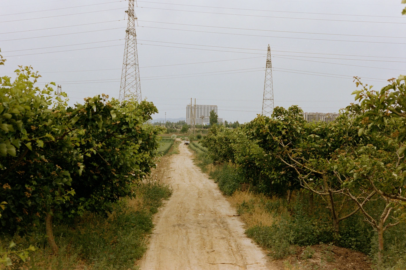 山东 II / Shandong II photograph 041
